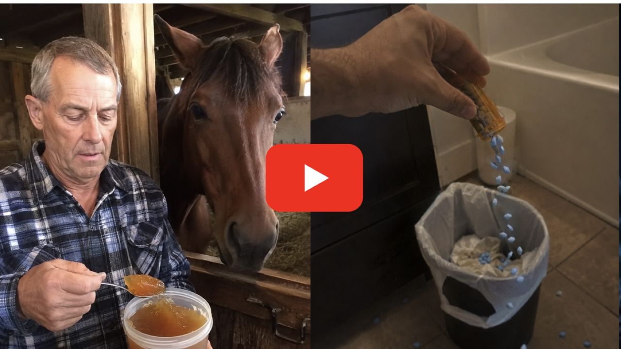Doctor Breaks Silence On The Horse Gelatin Trick